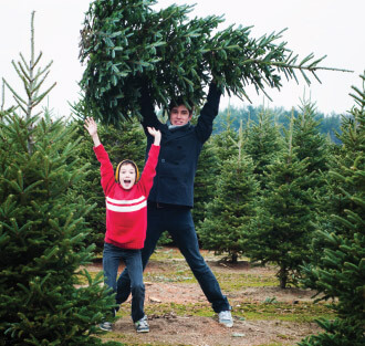 Christmas Tree Disposal